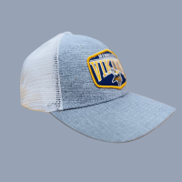 "Vikings Gray Cap and Hat Collection: Show Your Team Pride in Style"
