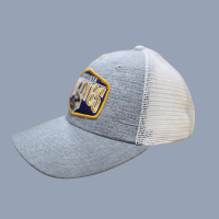 "Vikings Gray Cap and Hat Collection: Show Your Team Pride in Style"