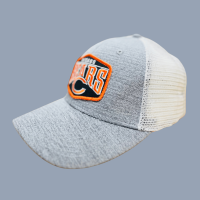 "Chicago Bears Gray Cap and Hat Collection: Show Your Team Pride in Style"