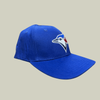 "Toronto Blue Jays Blue Cap and Hat Collection"