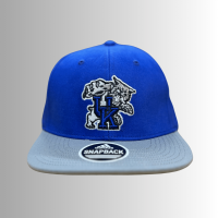 "Kentucky Wildcats NCAA Team Blue and Gray Caps and Hats Collection"