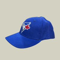 "Toronto Blue Jays Blue Cap and Hat Collection"