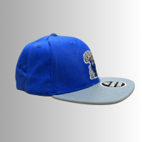 "Kentucky Wildcats NCAA Team Blue and Gray Caps and Hats Collection"